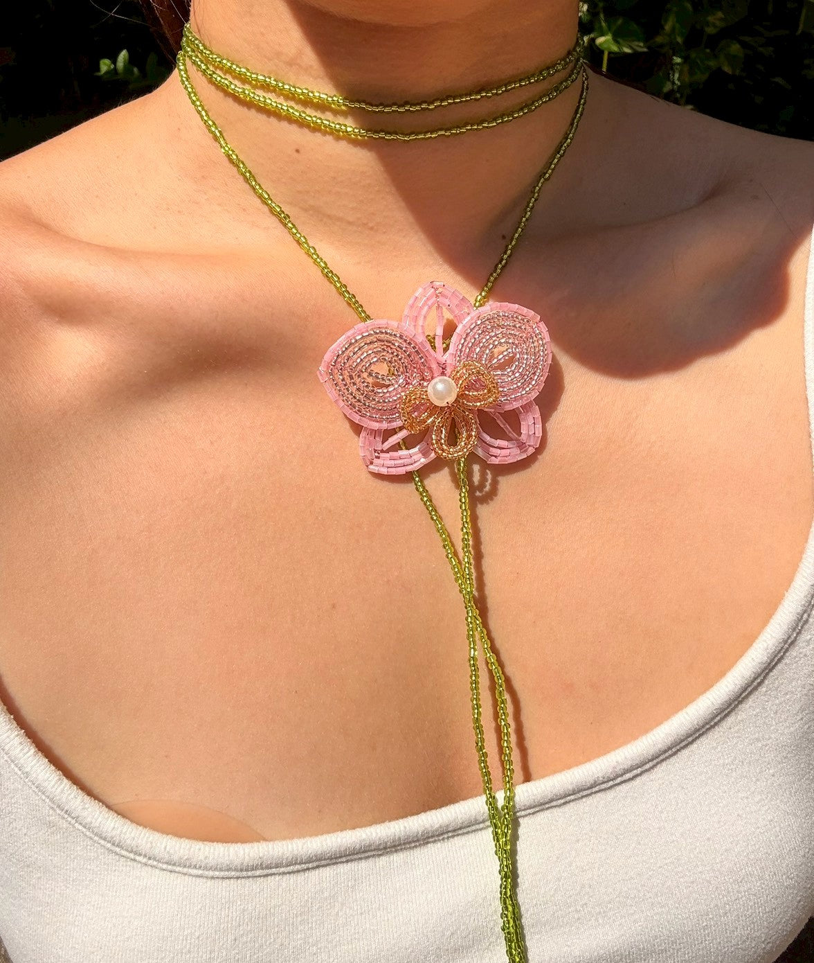 Pink and Green Orchid