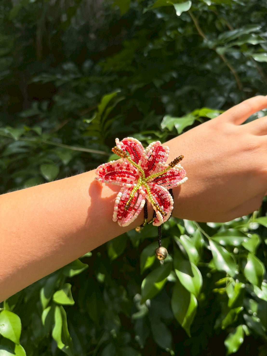 Pink and Red Lily