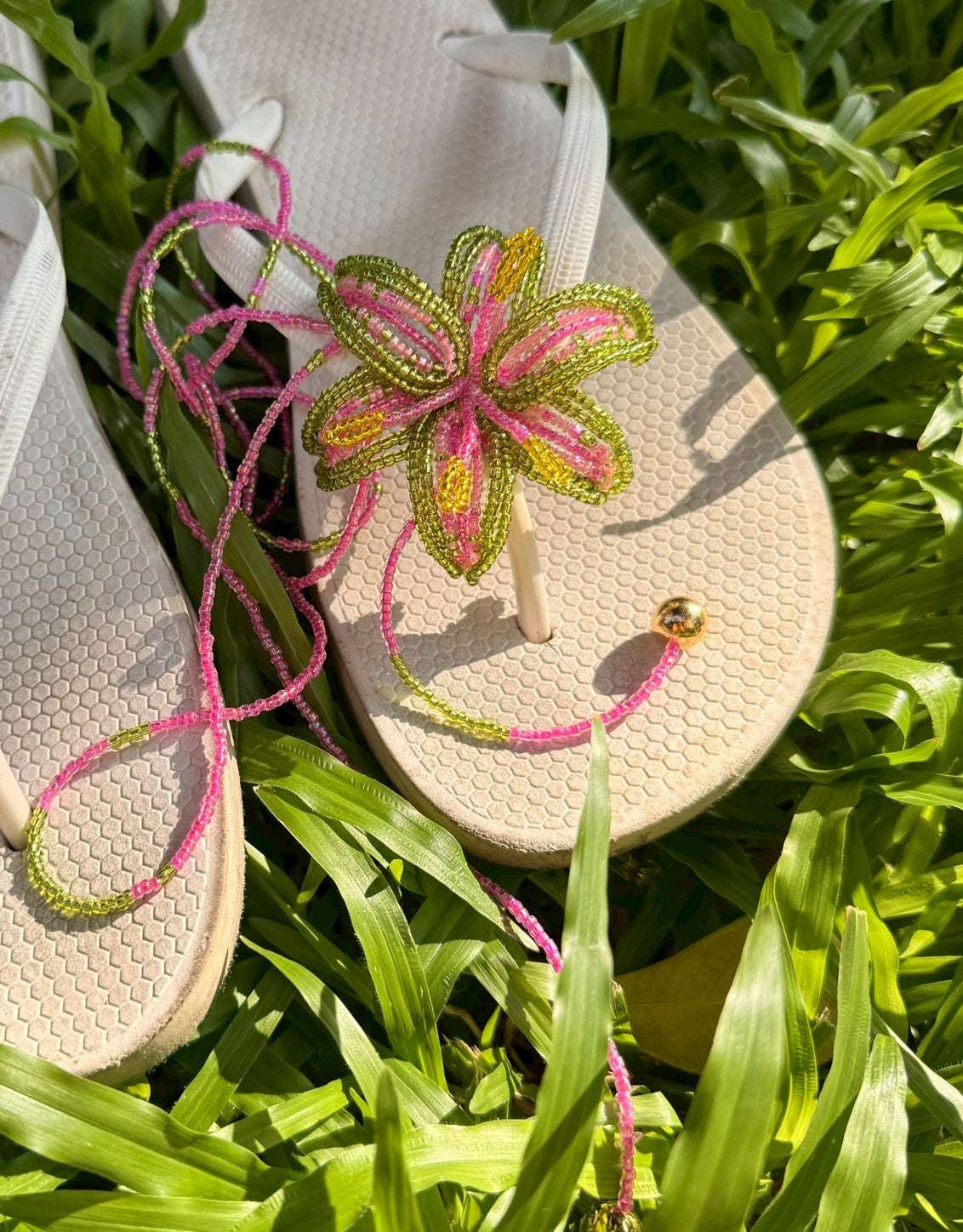 Green and Pink Lily