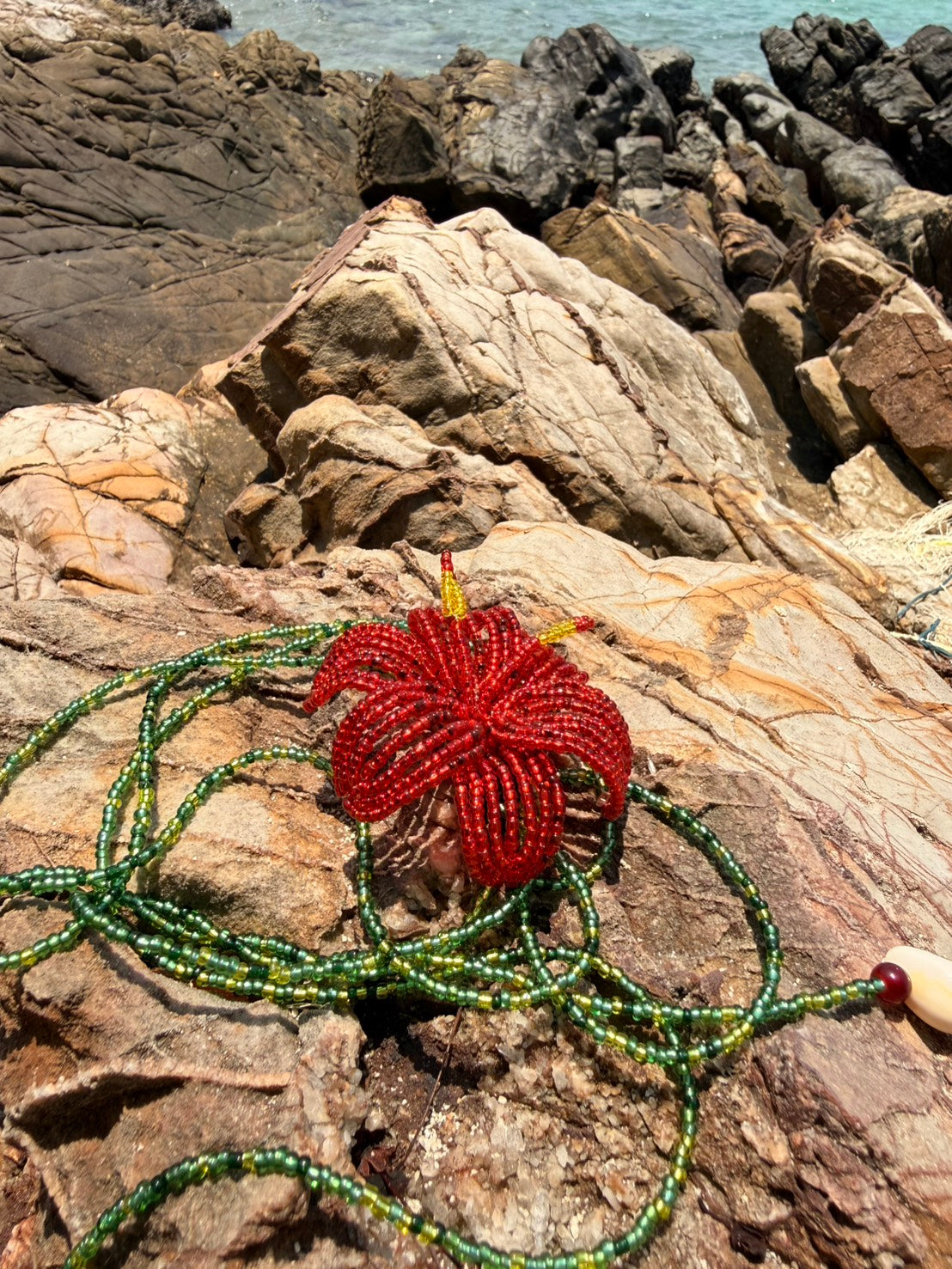 Red Hibiscus